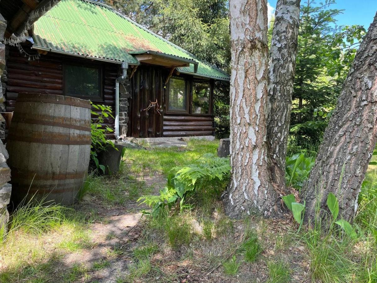 Zelenyi Rai Apartman Szvityaz Kültér fotó