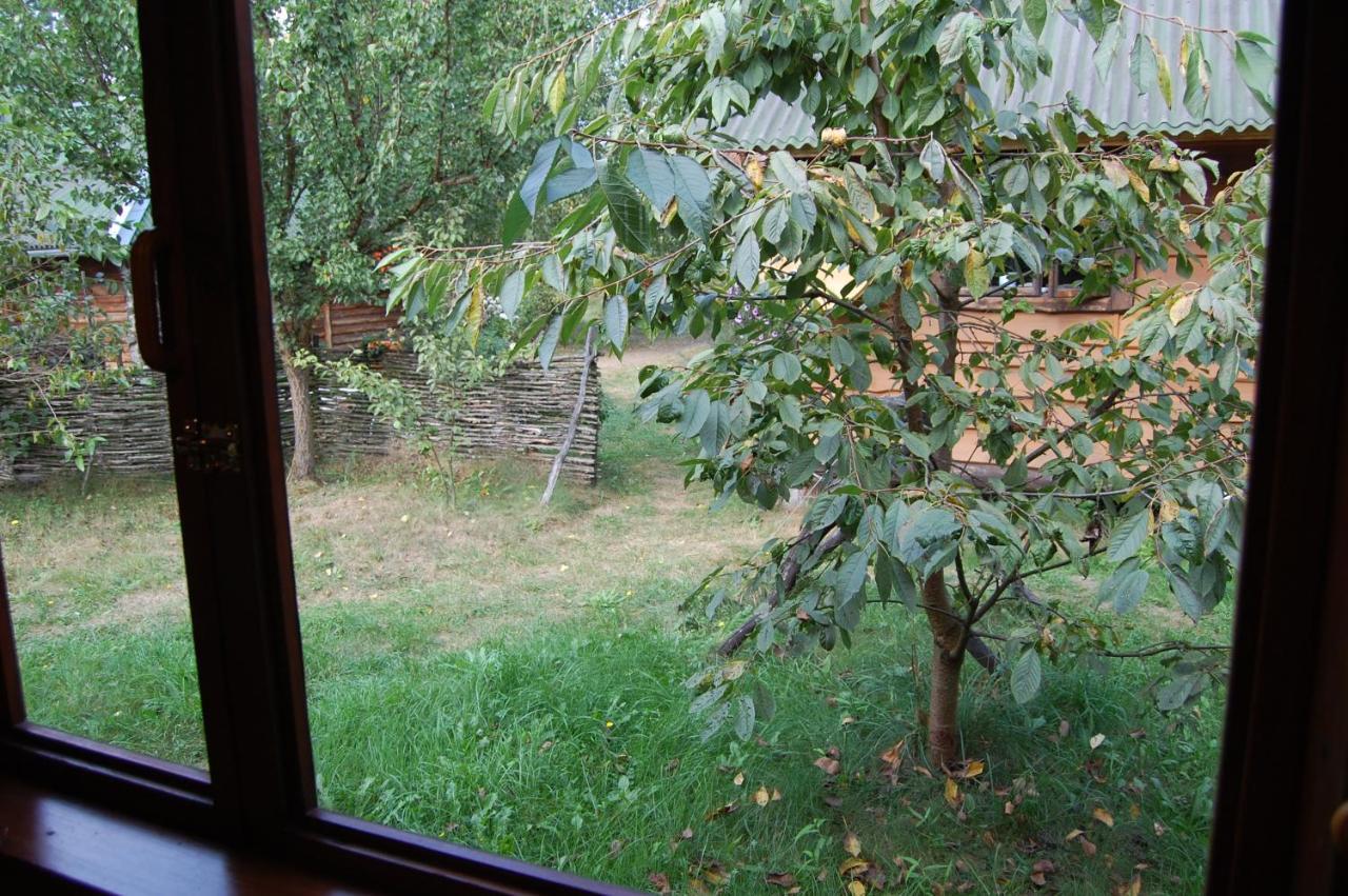 Zelenyi Rai Apartman Szvityaz Kültér fotó