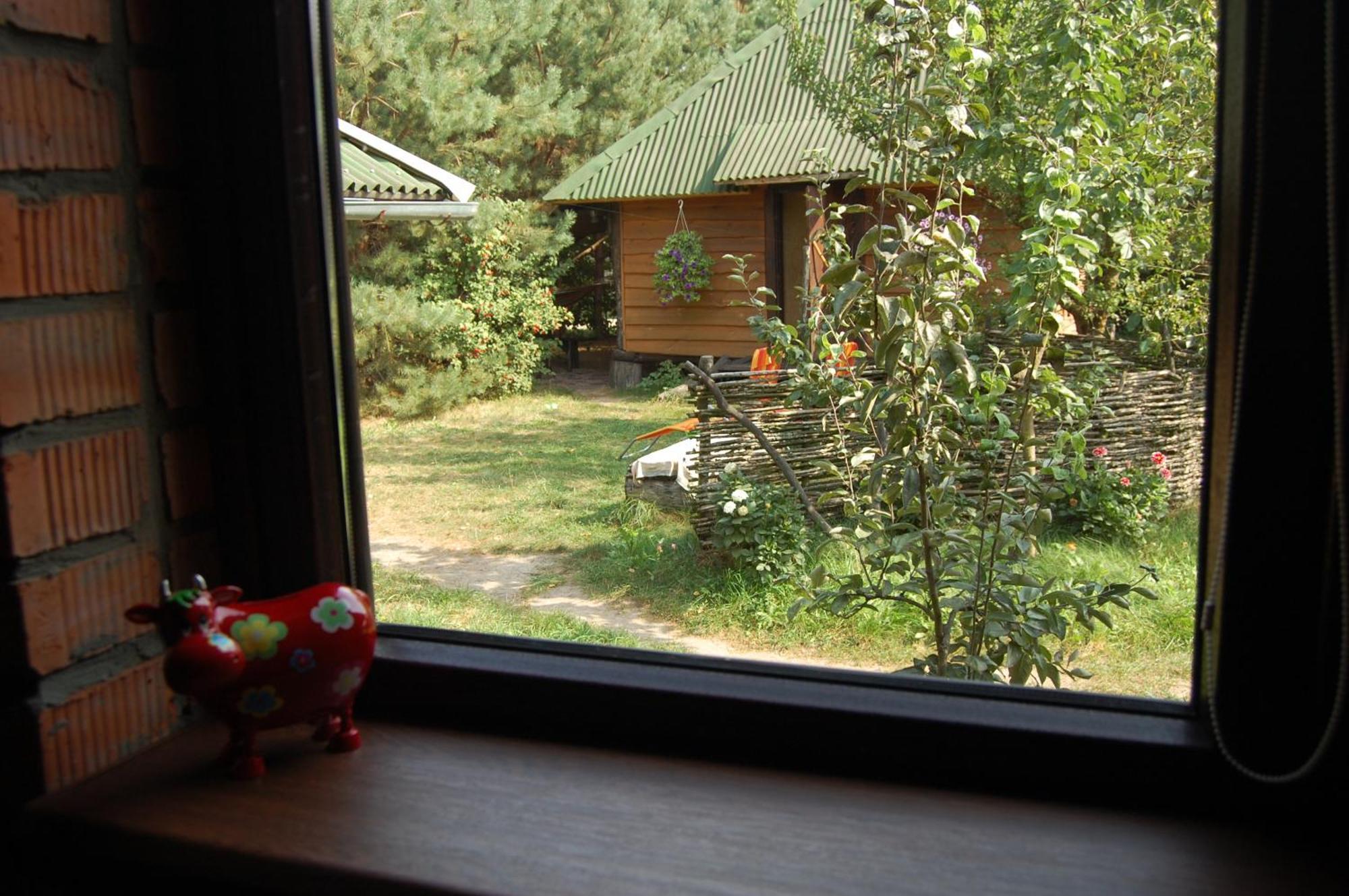 Zelenyi Rai Apartman Szvityaz Szoba fotó